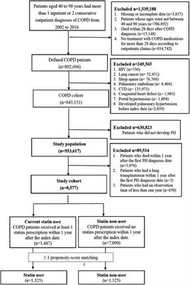 Statins for the Treatment of Pulmonary Hypertension in Patients with Chronic Obstructive Pulmonary Disease